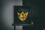 Higgs Golden Mask "Wearable" - Death Stranding